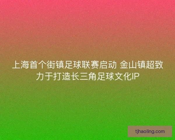 上海首个街镇足球联赛启动 金山镇超致力于打造长三角足球文化IP
