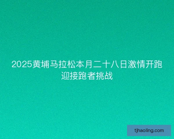 2025黄埔马拉松本月二十八日激情开跑迎接跑者挑战