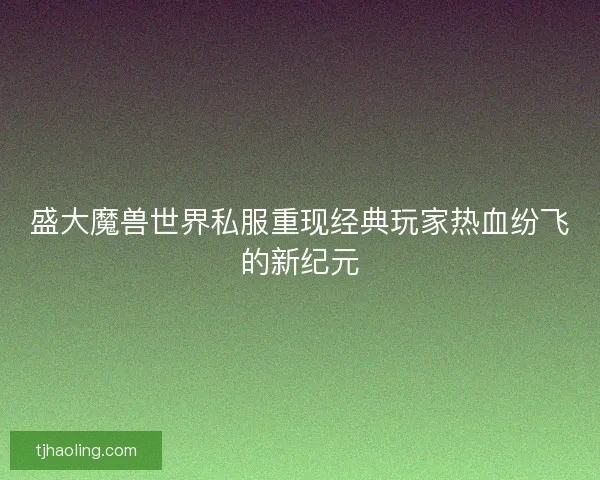 盛大魔兽世界私服重现经典玩家热血纷飞的新纪元 盛大魔兽世界私服重现经典玩家热血纷飞的新纪元