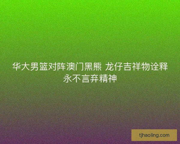 华大男篮对阵澳门黑熊 龙仔吉祥物诠释永不言弃精神