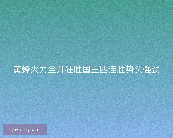 黄蜂火力全开狂胜国王四连胜势头强劲