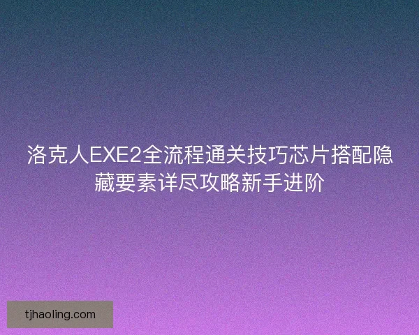 洛克人EXE2全流程通关技巧芯片搭配隐藏要素详尽攻略新手进阶